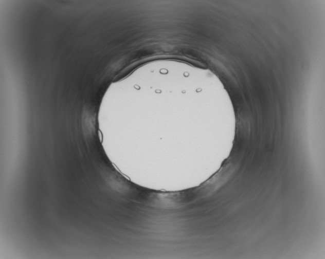 X0000111420188200908241139