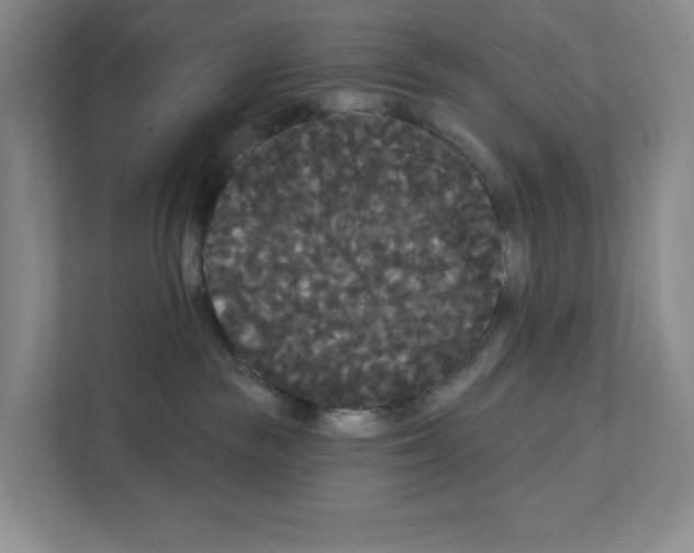 X0000111420189200908241139