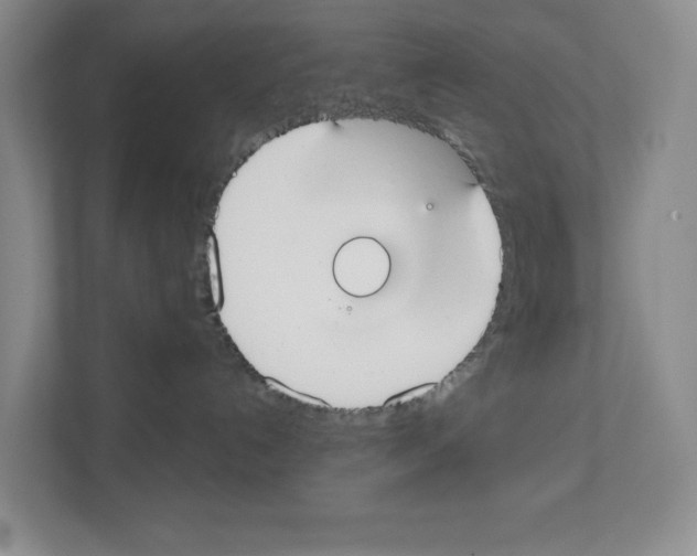 X0000111420192200908241139