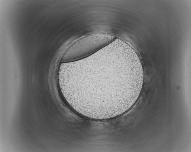 X0000111420193200908241139