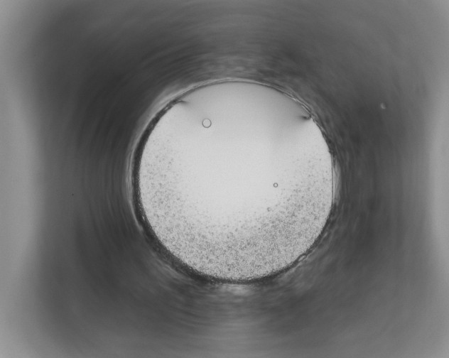X0000111420195200908241139