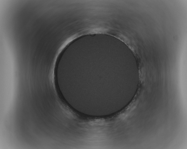 X0000111420196200908241139