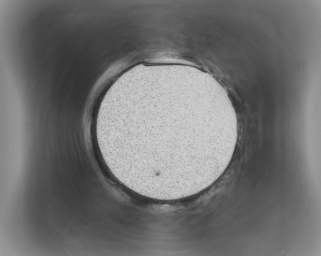 X0000111420197200908241139