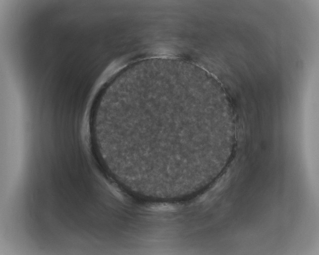 X0000111420198200908241139