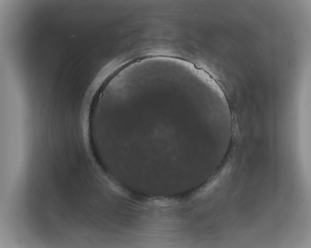 X0000111420199200908241139
