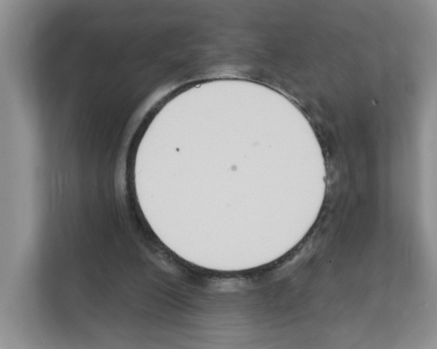 X0000111420200200908241139