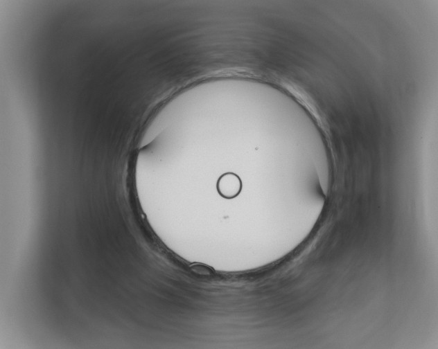 X0000111420201200908241139