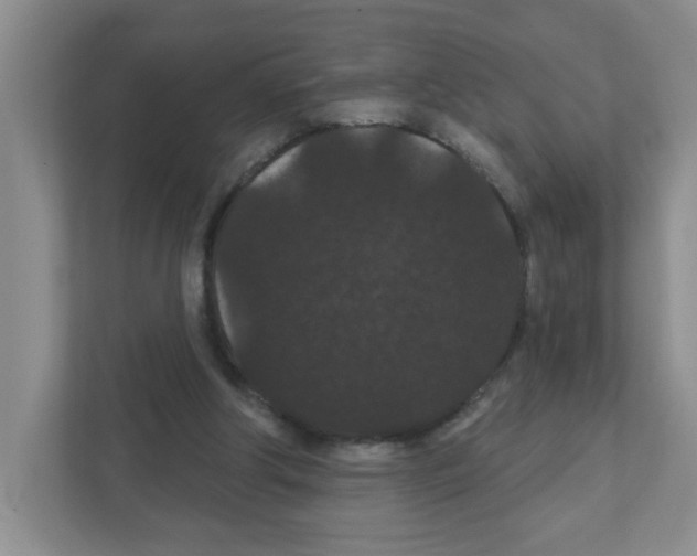 X0000111420202200908241139