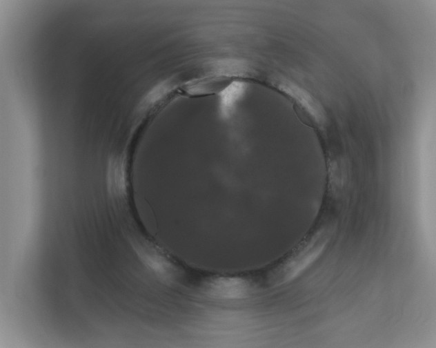 X0000111420203200908241139