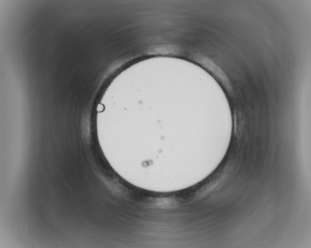 X0000111420204200908241138