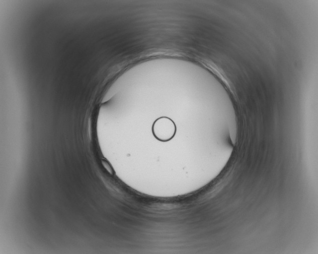 X0000111420205200908241138