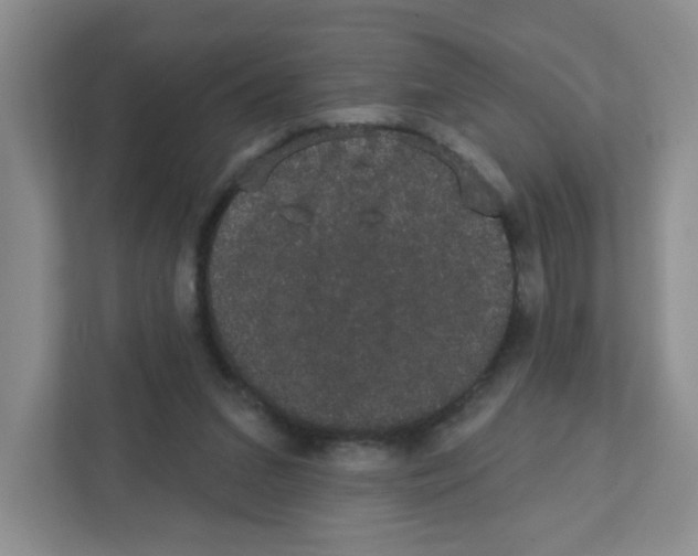 X0000111420207200908241138