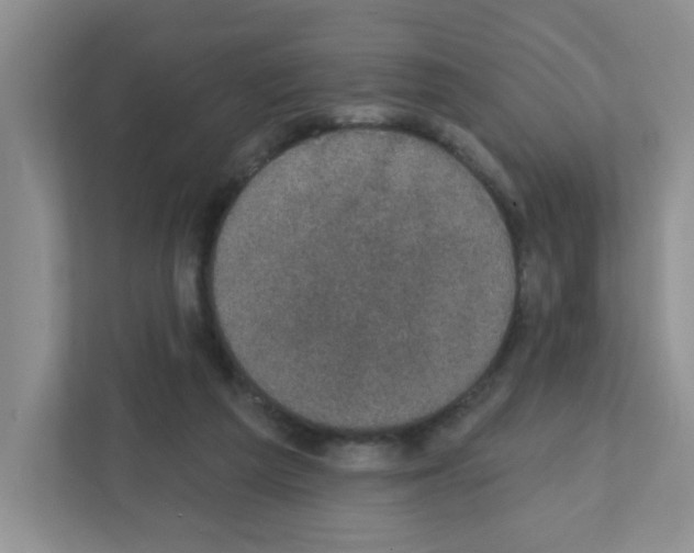 X0000111420209200908241138