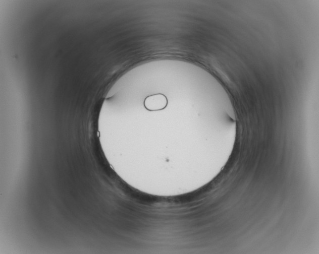 X0000111420211200908241138