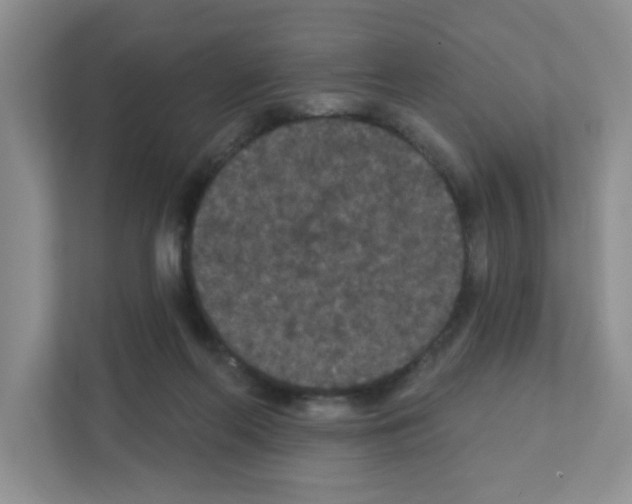X0000111420214200908241138