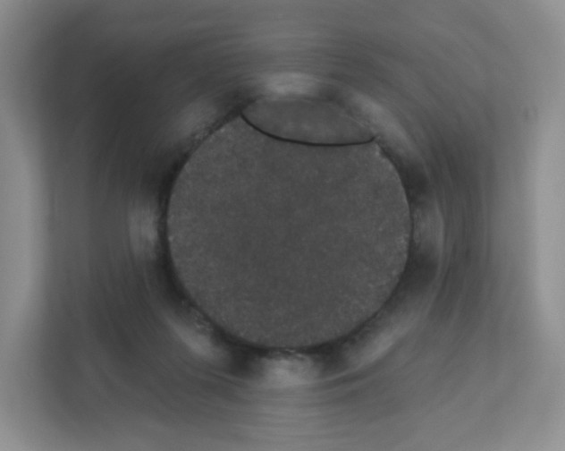 X0000111420215200908241138