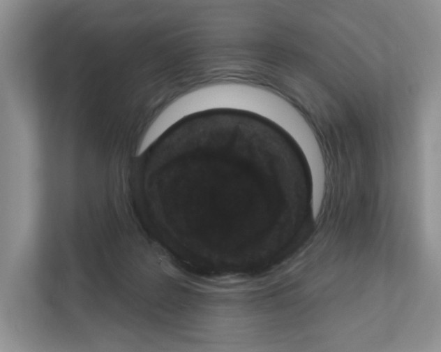 X0000111420219200908241138
