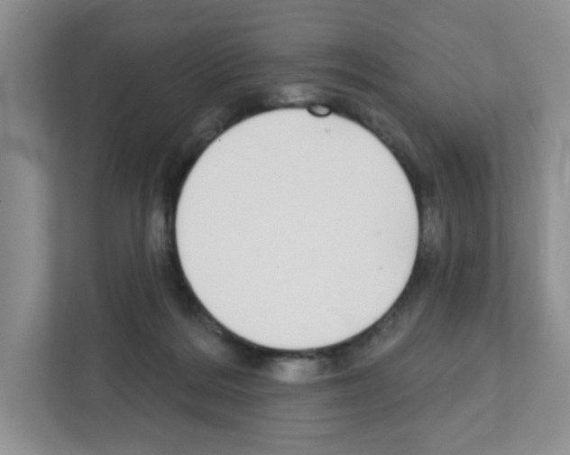 X0000111420220200908241138