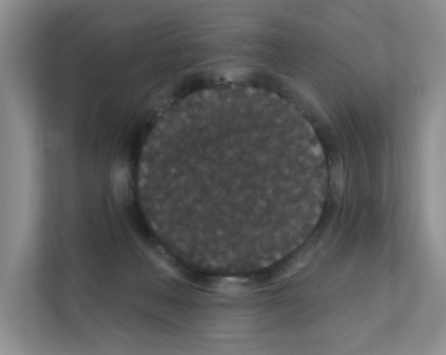 X0000111420222200908241138