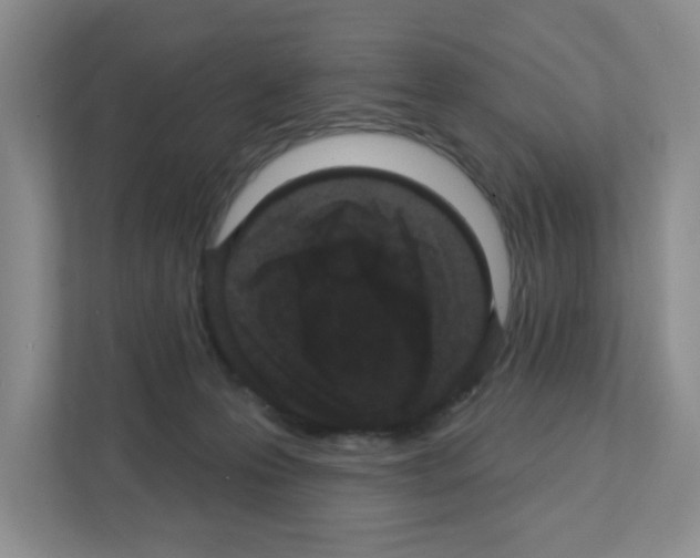 X0000111420223200908241138