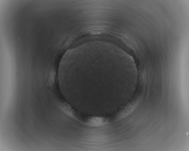 X0000111420227200908241138