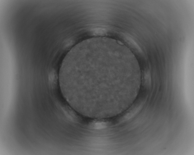 X0000111420228200908241138