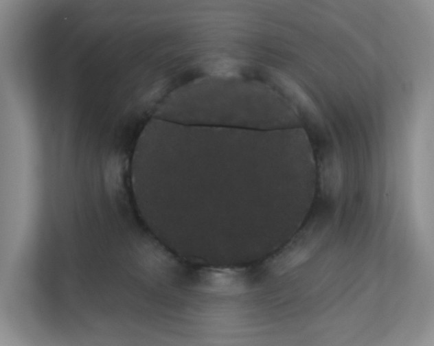 X0000111420229200908241138