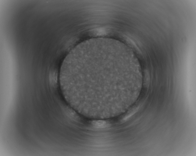 X0000111420230200908241138