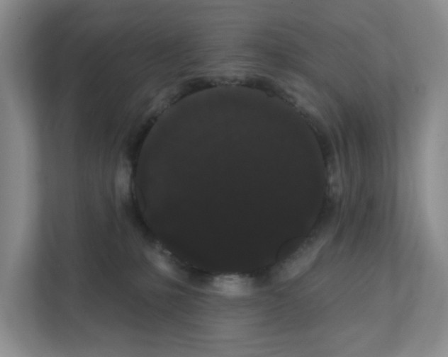 X0000111420231200908241138