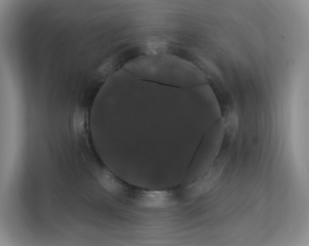 X0000111420233200908241138