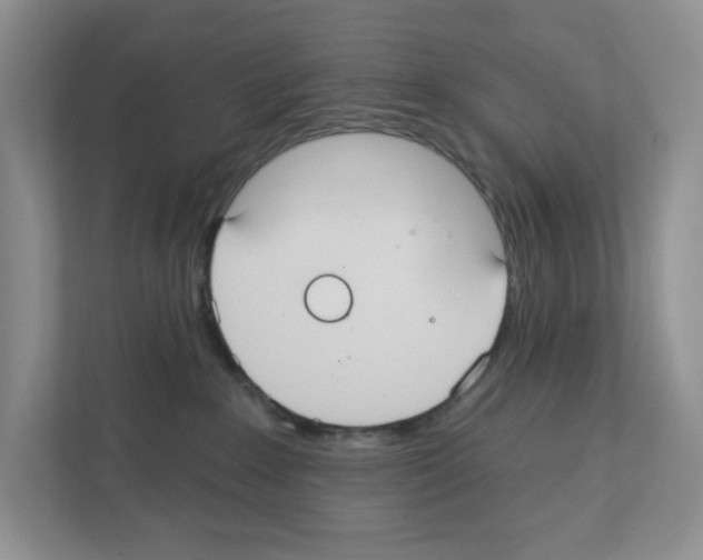 X0000111420235200908241138