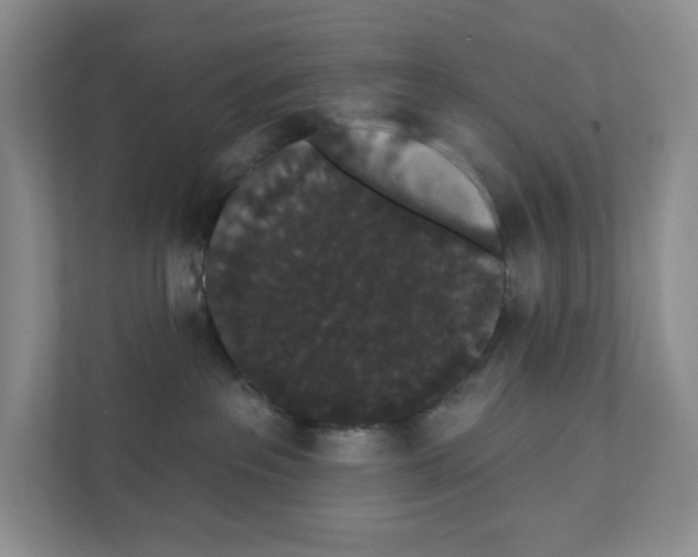 X0000111420237200908241138