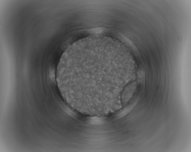 X0000111420238200908241138