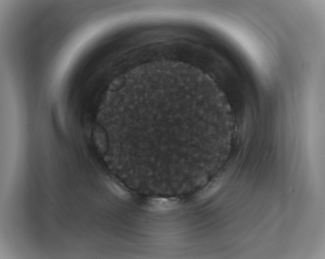 X0000111420239200908241138