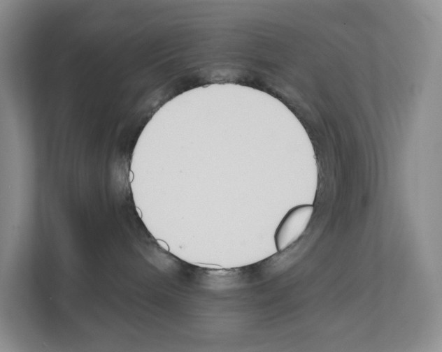 X0000111420240200908241138