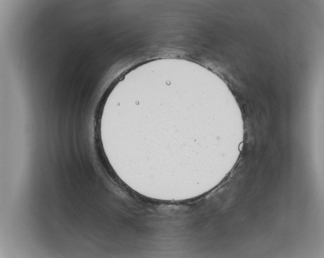 X0000111420242200908241137