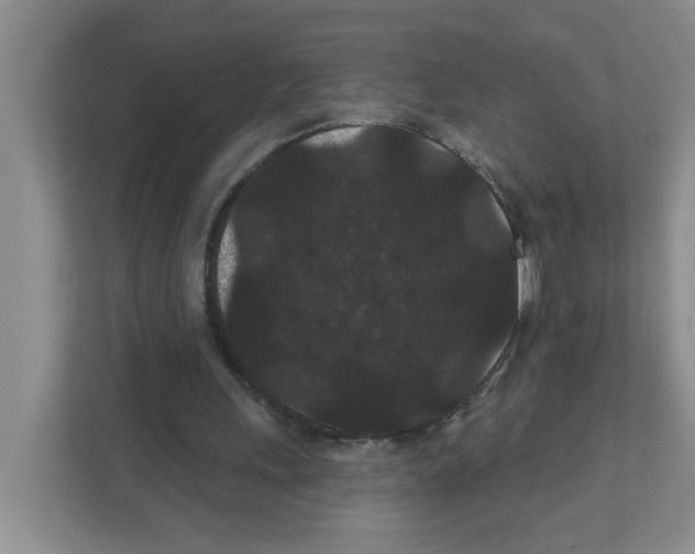 X0000111420243200908241137