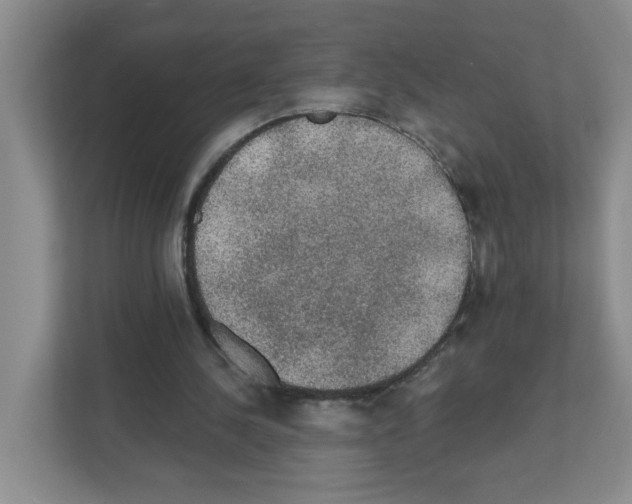 X0000111420244200908241137
