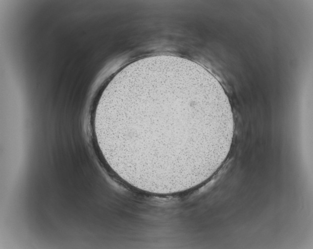 X0000111420245200908241137