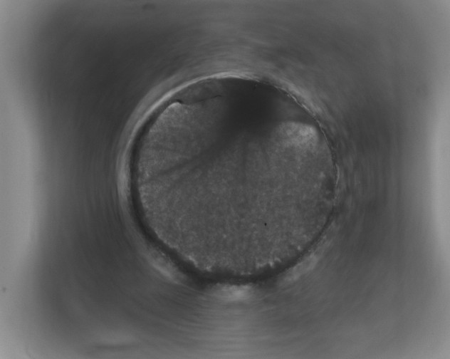 X0000111420247200908241137