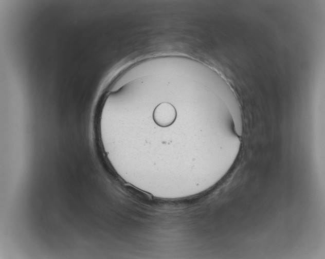 X0000111420248200908241137
