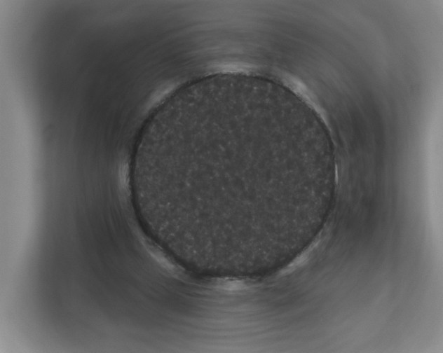 X0000111420249200908241138