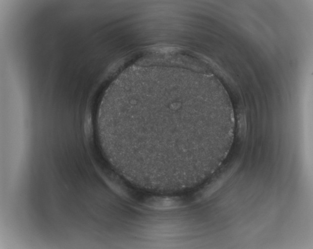 X0000111420254200908241138