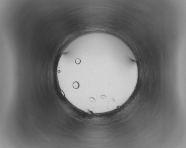 X0000111420256200908241138