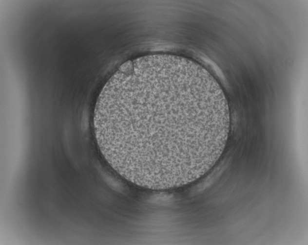 X0000111420257200908241138