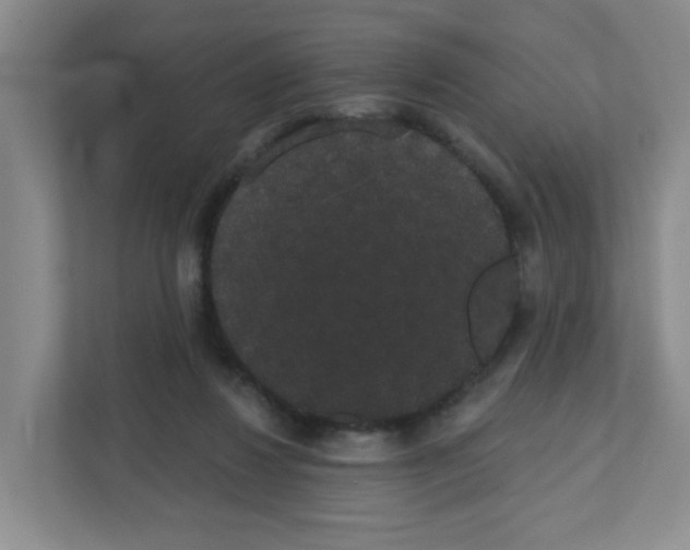 X0000111420260200908241138