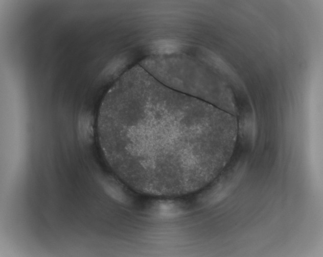 X0000111420264200908241138