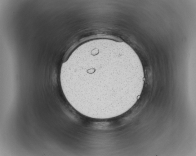 X0000111420266200908241138