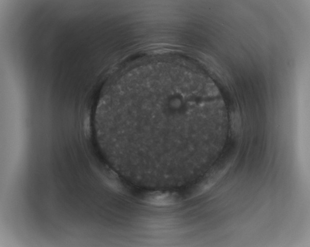 X0000111420267200908241138
