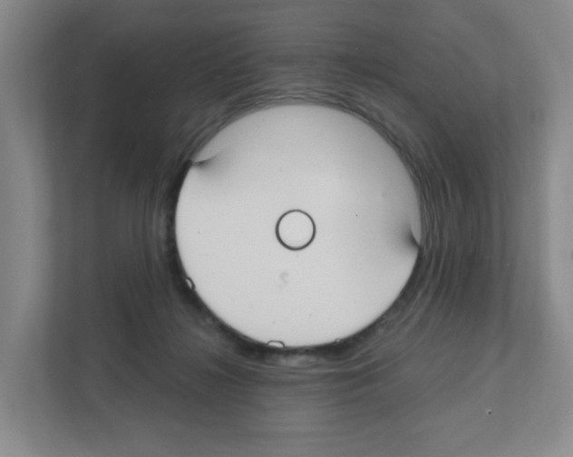X0000111420268200908241138